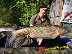 Tancabesti 31 iulie - 2 august 2020